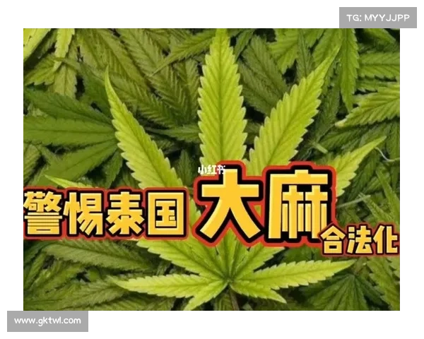 泰国足球彩票合法化法案通过 预计每年增收2.5亿美元 泰国足球彩票合法化法案通过 预计每年增收2.5亿美元